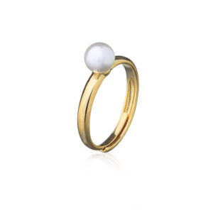 Core ring goldplating zaza-lili